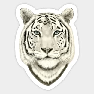 White tiger Sticker